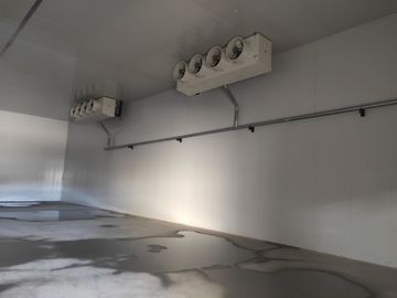 टिकाऊ पु सैंडविच पैनल के साथ एयर कंडीशनिंग फ्रीजर भंडारण कक्ष